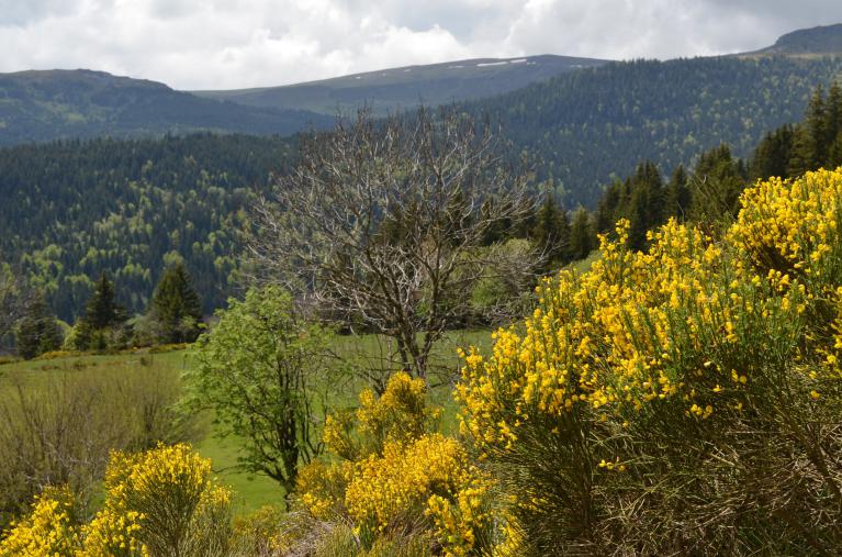 Séjour Cantal 20-26 Mai 2024