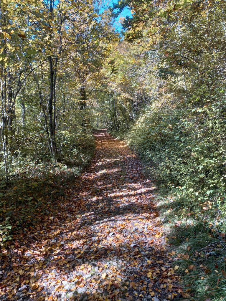 séjour Val Suzon octobre 25